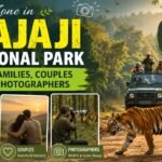 Best Zone in Rajaji National Park for Families, Couples and Photographers