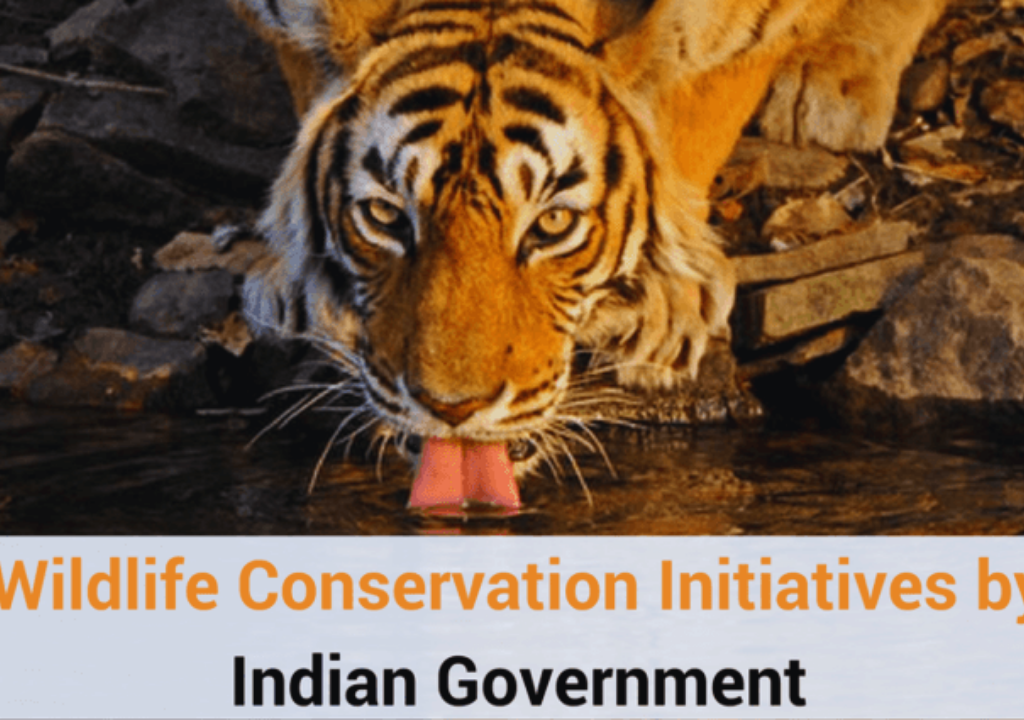 Conservation Initiatives and Policies