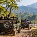 Golden Hour Safari Jeep Trail