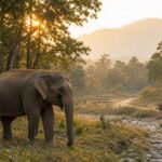Rajaji National Park