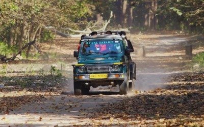 Mohand range forest terrain, Rajaji National Park