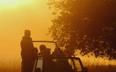 Motichur zone forest trail, Rajaji National Park