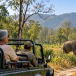 Safari Jeep Watching a Wild Elephant