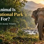 Which Animal Is Rajaji National Park Famous For?
