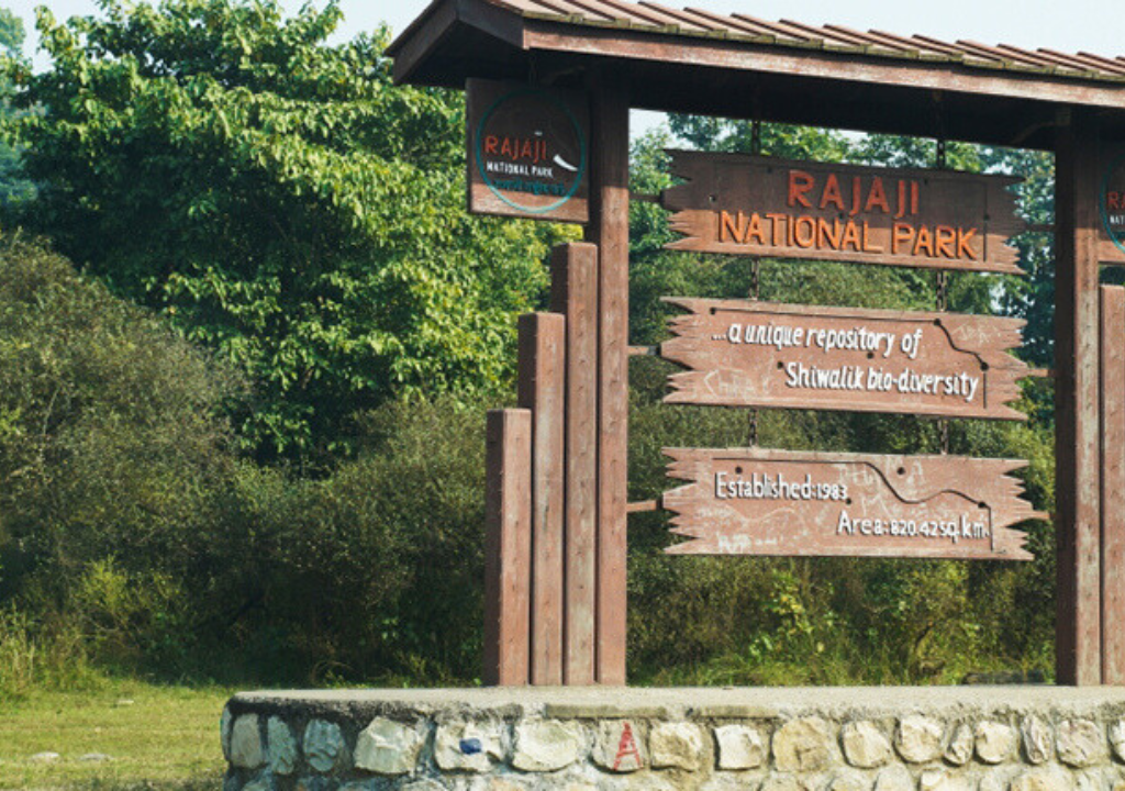 Jungle safari tours in Rajaji National Park