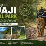 Why-Rajaji-National-Park-Jungle-Safari-Is-So-Famous-Complete-2026-Guide-2.jpeg