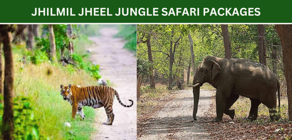 jhilmil-jheel-safari-zone-packages