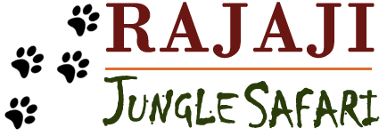 Exploring the Indian Monitor Lizard Habitats - Rajaji Jungle Safari