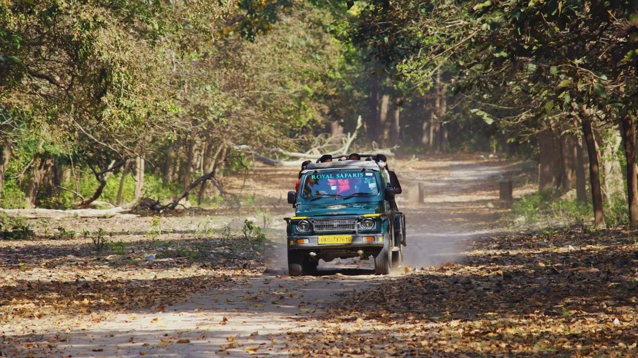 Mohand range forest terrain, Rajaji National Park